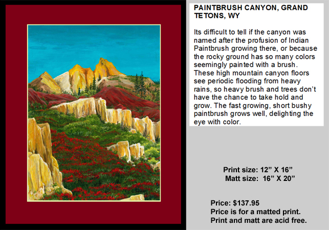 Paintbrush Canyon Titons NP